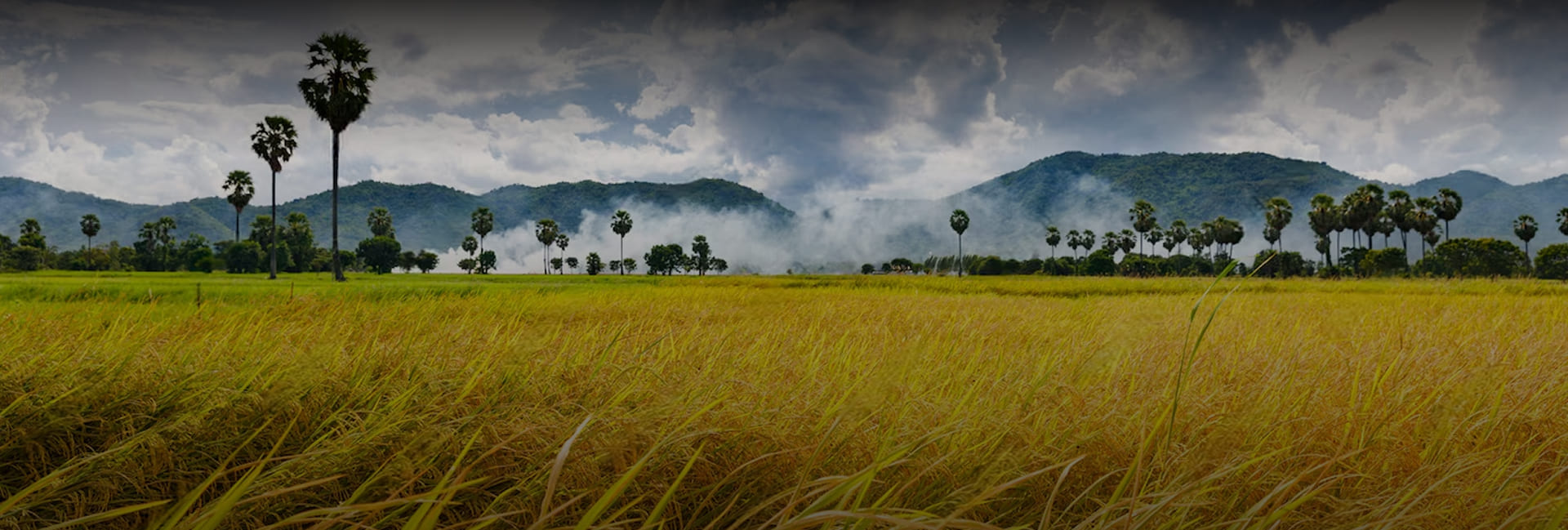 Blogs - Kuber Agro Industies