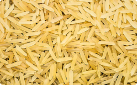 Exploring the Flavours of Golden Sella Basmati Rice