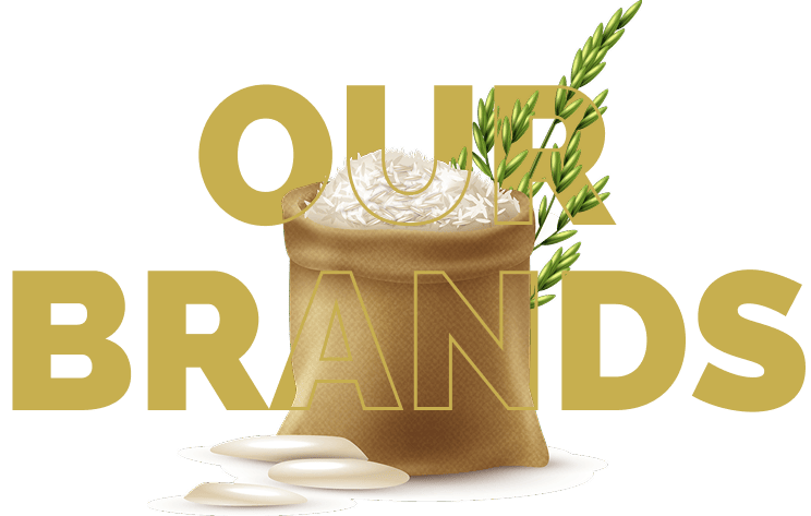 our-product