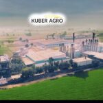 Kuber Agro Industries Pvt. Ltd. – A Trusted Name in Premium Basmati Rice