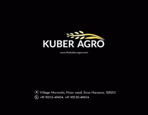 Kuber Agro Industries Pvt. Ltd. – Top Haryana Rice Mill in Haryana